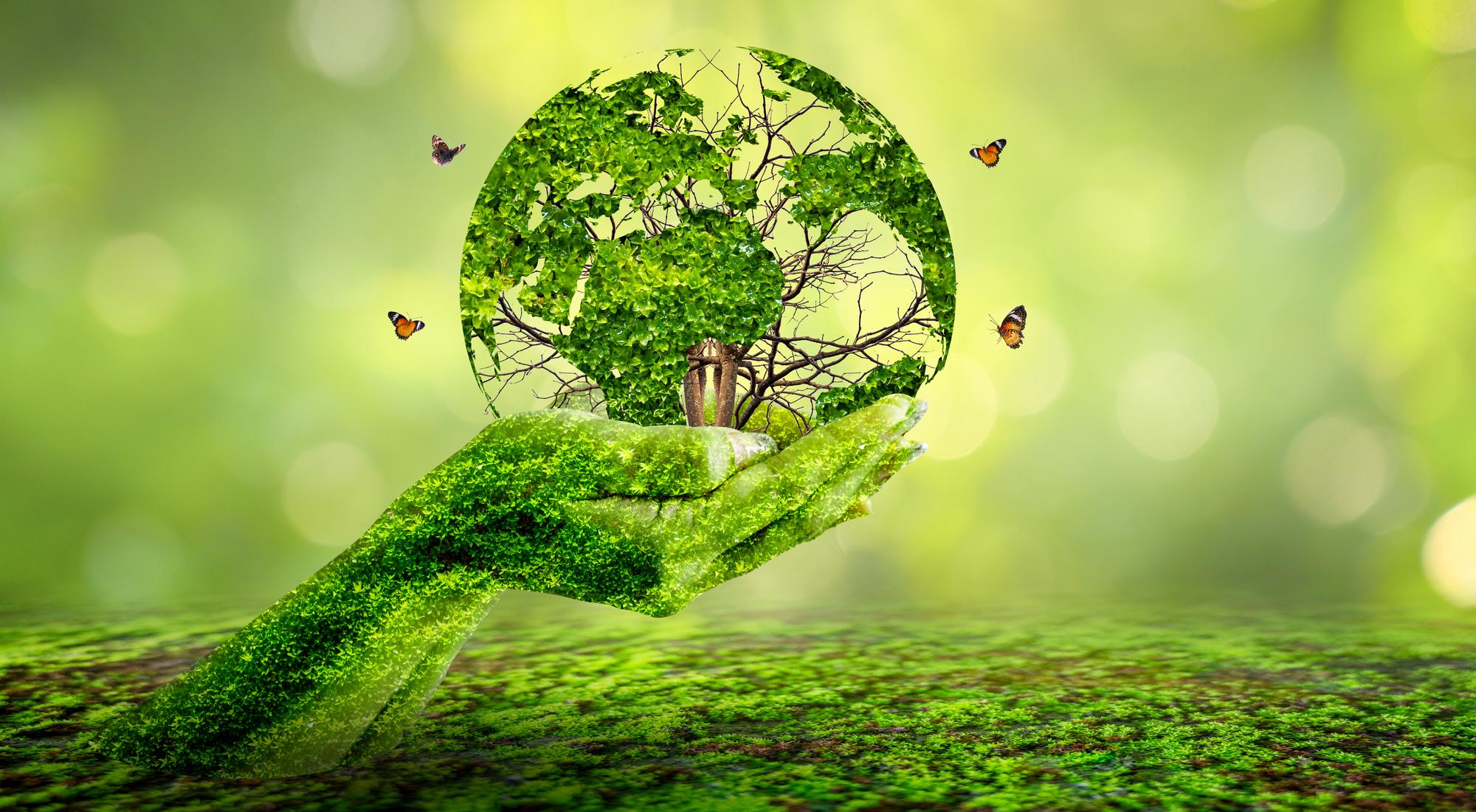 Hindi-GK Questions and Answers on World Environment Day